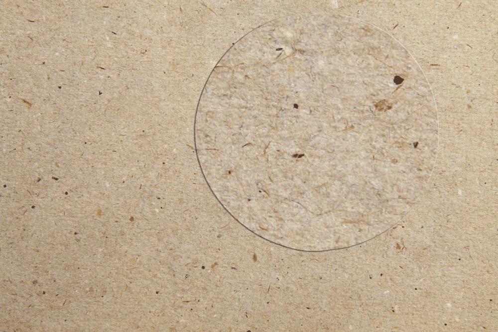 Blog_Kraft_Recycle